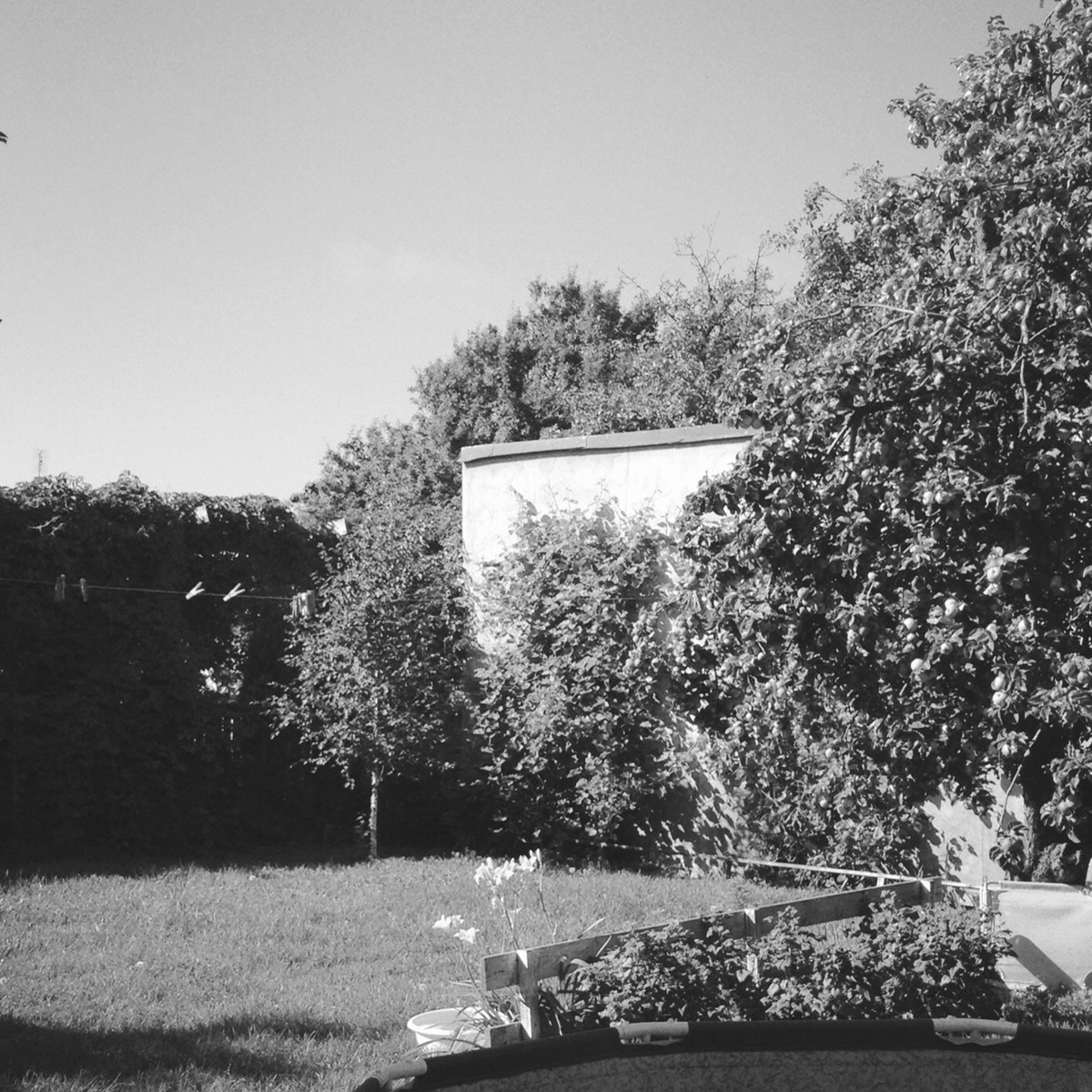 viens vīns, divi vīni, trīs vīni, četri vīni, pieci vīni.